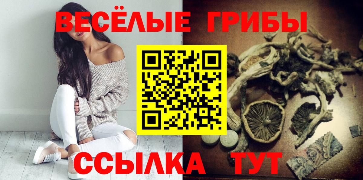 Псилоцибиновые грибы Psilocybine cubensis Луга